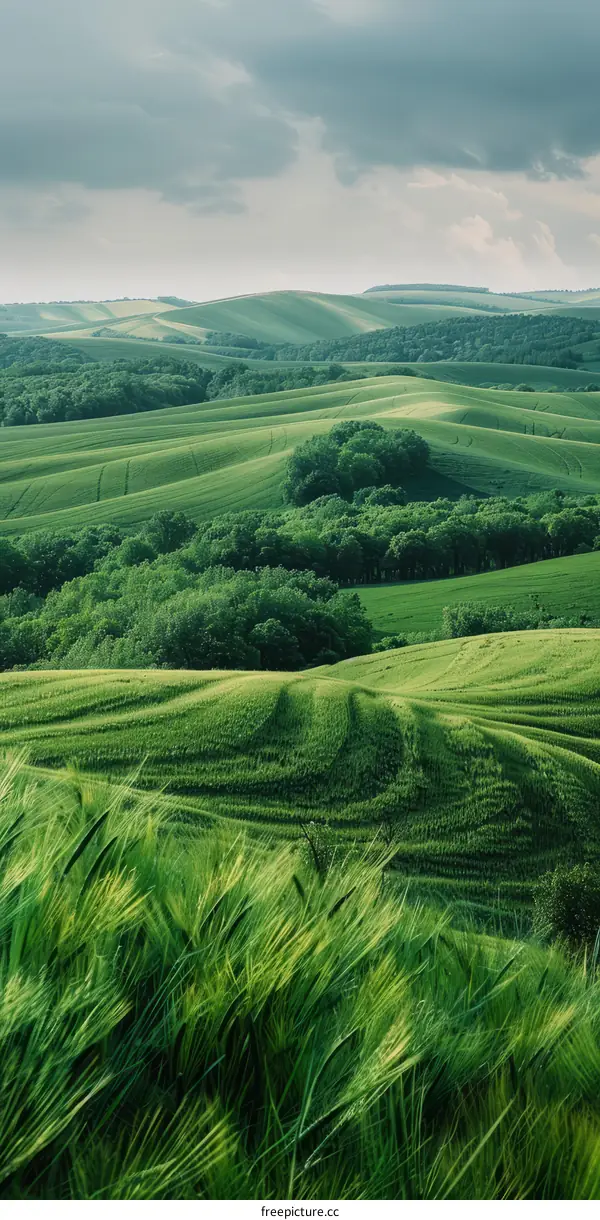 Rolling Hills of Tuscany, Italy