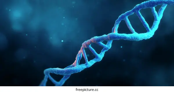 DNA Structure Illustration of Genetic Material