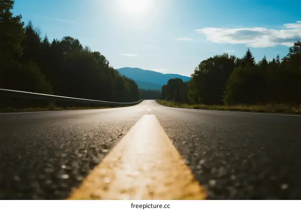 Sunlit road stretching through forested area with mountain in the distance