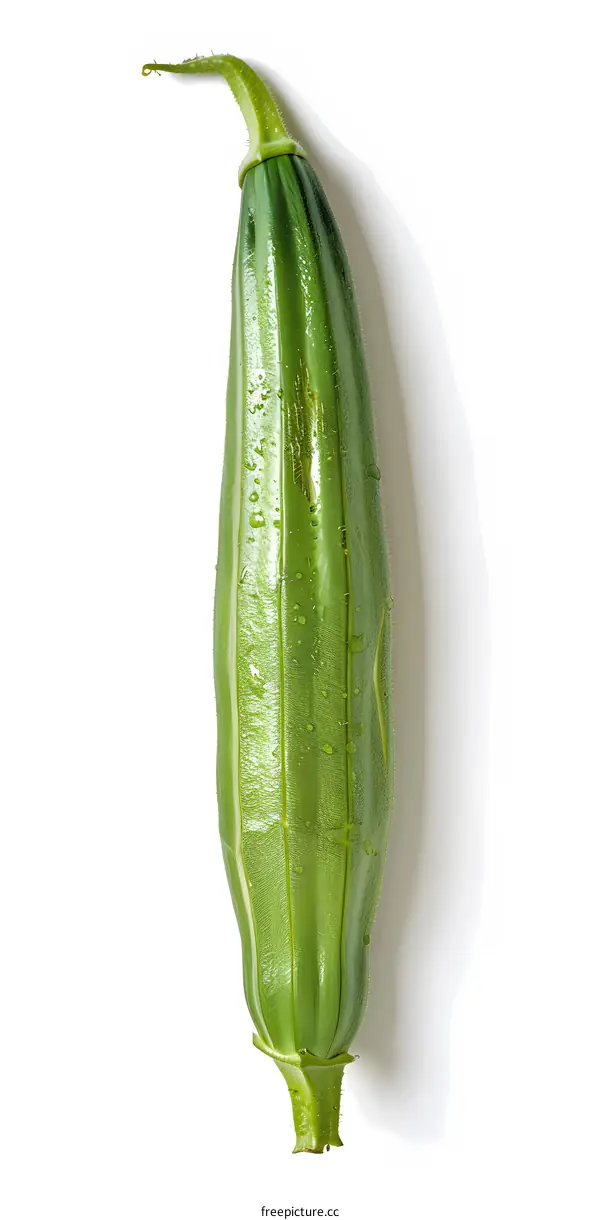 Fresh Green Okra on White Background