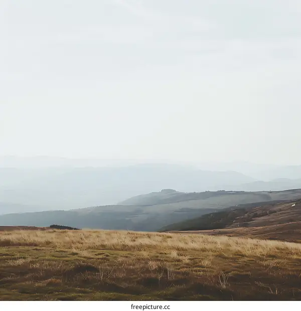 Landscape with rolling hills and a hazy sky