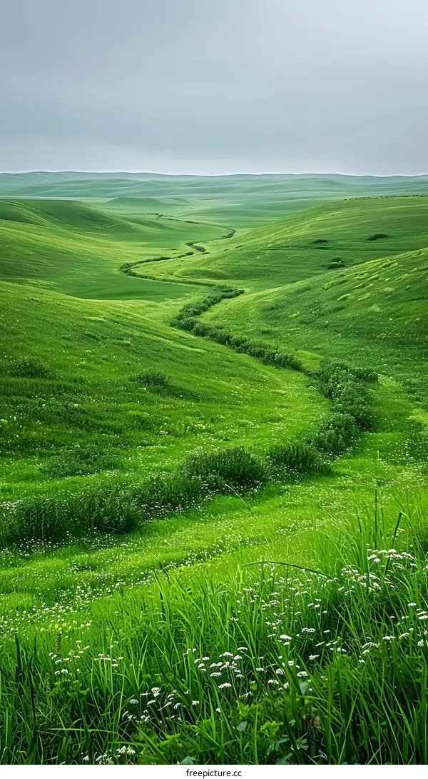 Green rolling hills in a rural landscape
