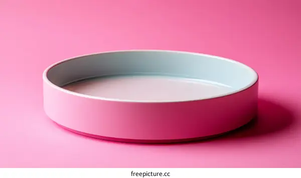 Modern Pink and Light Blue Round Dish