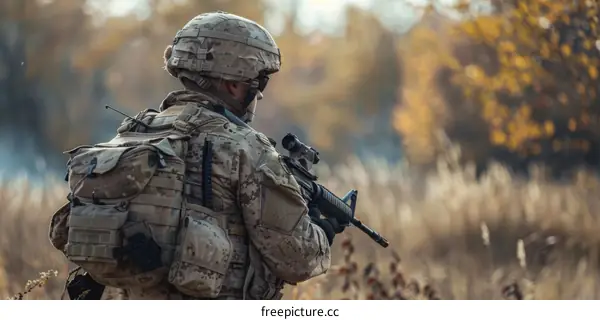 Soldier in the field