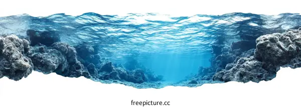 Stunning Underwater Coral Reef Landscape