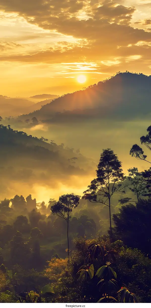 Sunrise Over Lush Mountain Ranges