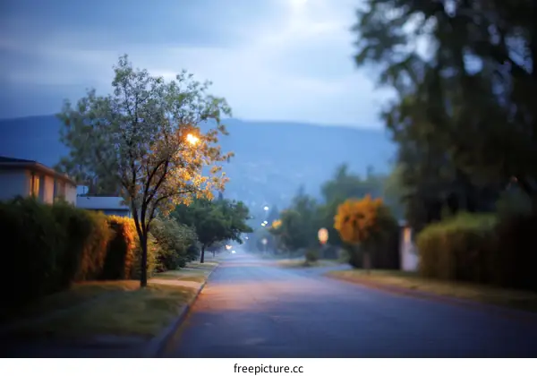 Suburban Street at Dawn/Dusk