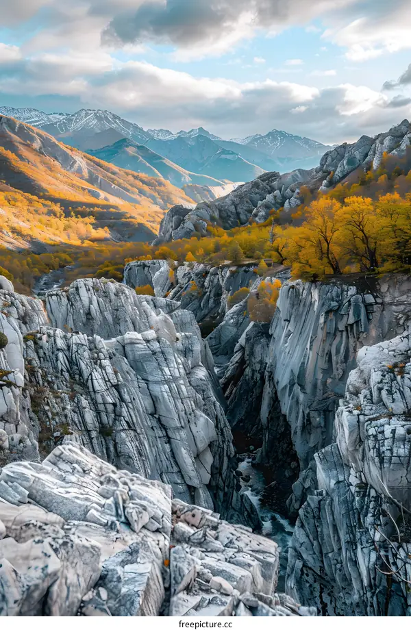 Mountain Gorge With Yellow Trees and Snowy Peaks