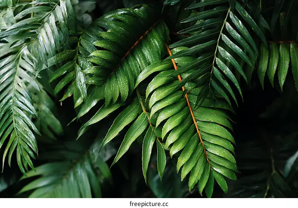 Tropical Lush Green Leaves Background