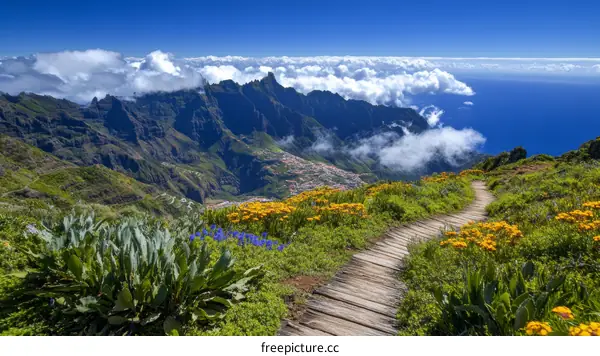 Mountain Hiking Trail with Ocean View