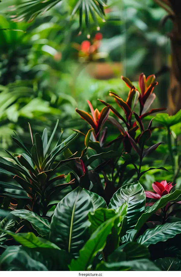 Tropical Rainforest Plants Background