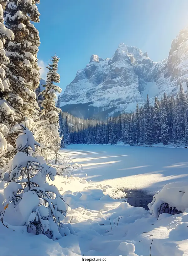 The summit of snowcapped mountain and the beautiful reflection in the lake surrounded by snow-covered trees under the blue sky