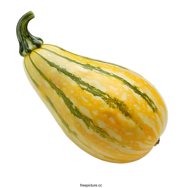 [Transparent Background PNG]Striped Squash Isolated on White Background