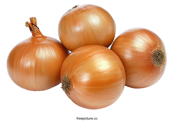 [Transparent Background PNG]Fresh Onions Close-up