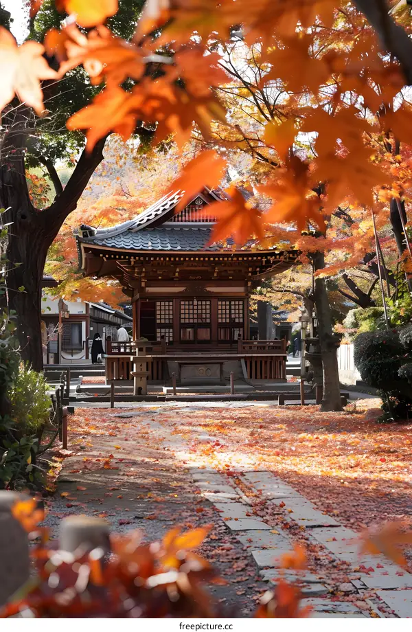 Autumn Temple in Japan