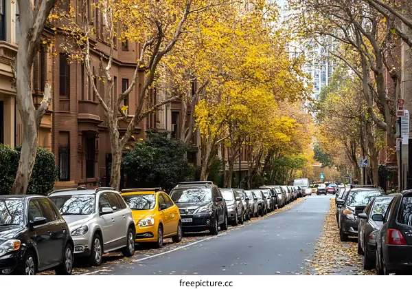 Autumn Street Scene with Cars Parked Under Fall Foliage