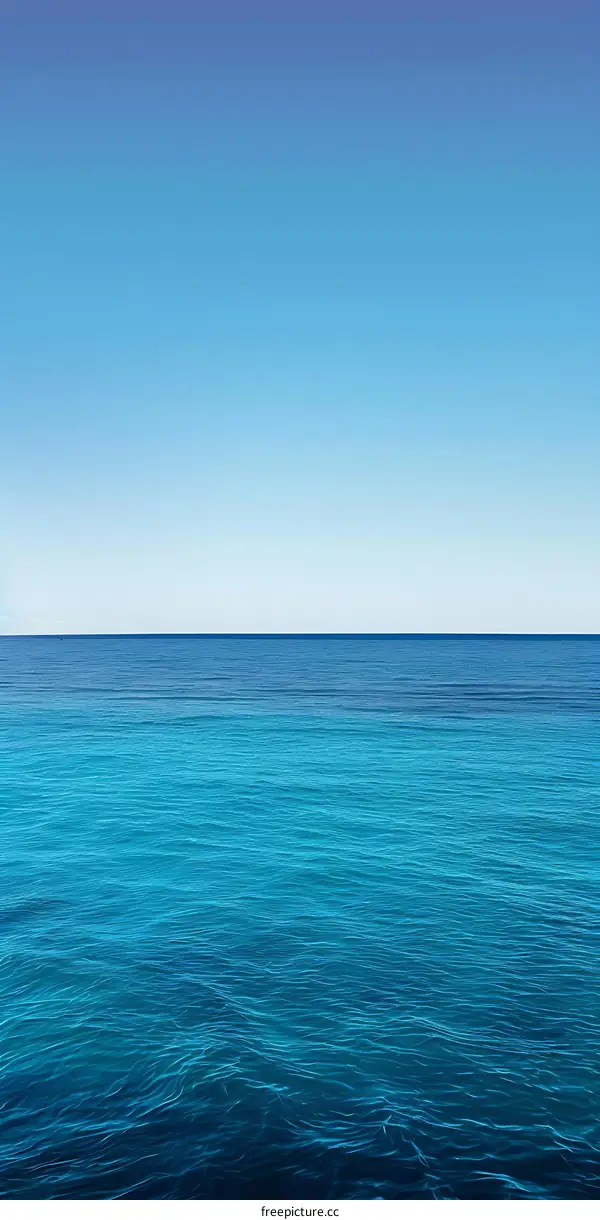 Blue Ocean Horizon with Clear Sky