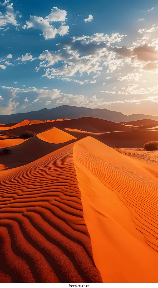 Red Sand Dunes in the Desert at Sunset