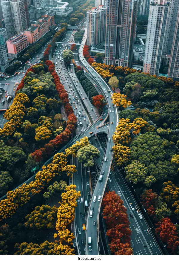 Elevated City Expressway Intersection Surrounded by Autumn Foliage