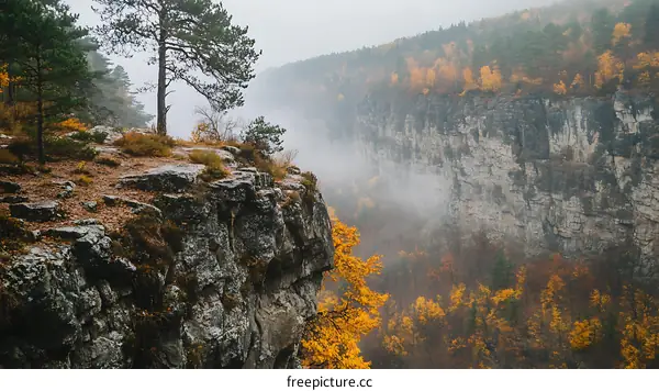 Autumn Forest Cliffside with Mist and Fog