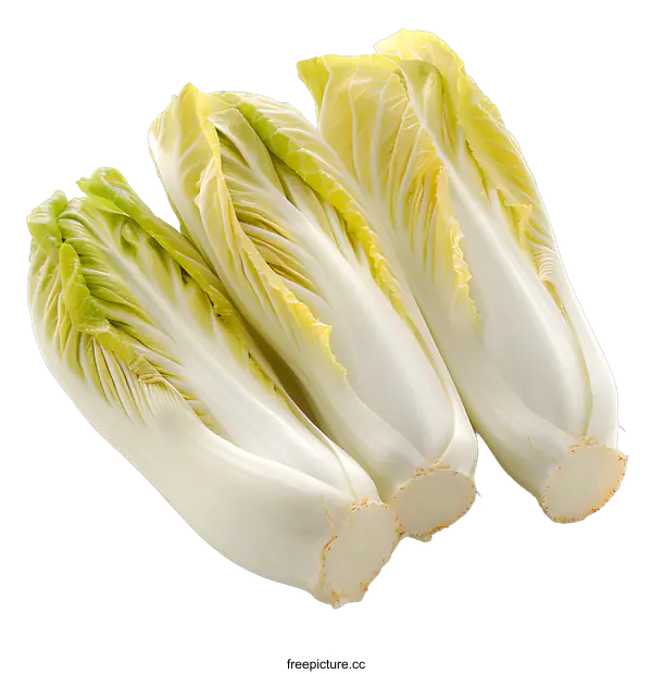 [Transparent Background PNG]Fresh endives isolated on white background