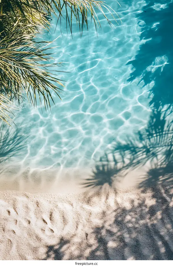 Tropical Summer Beach Scene With Palm Tree Shadow On Sand And Water