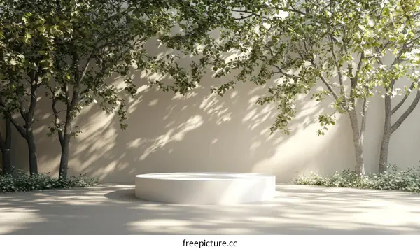 Modern Minimalist Garden Setting with Podium