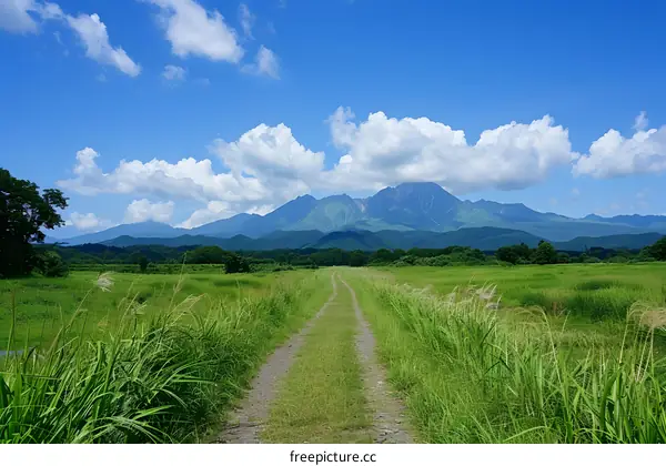 Green Path to the Mountain