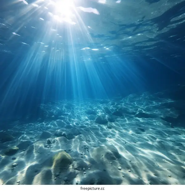 Underwater sunlight shining through the ocean surface