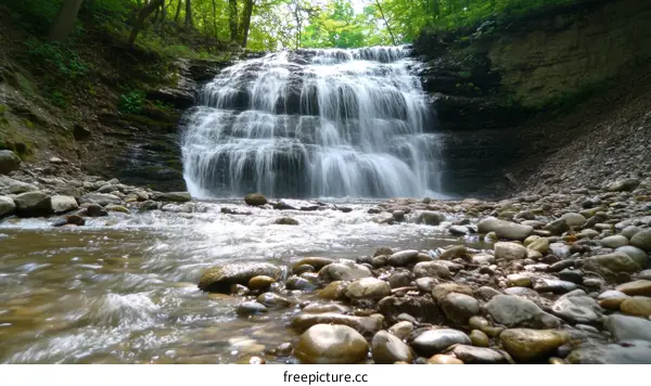 Beautiful Waterfall in a Lush Forest