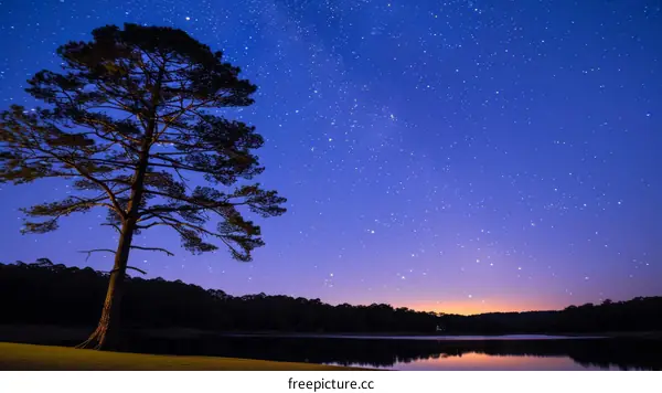 Starry Night Over Lake