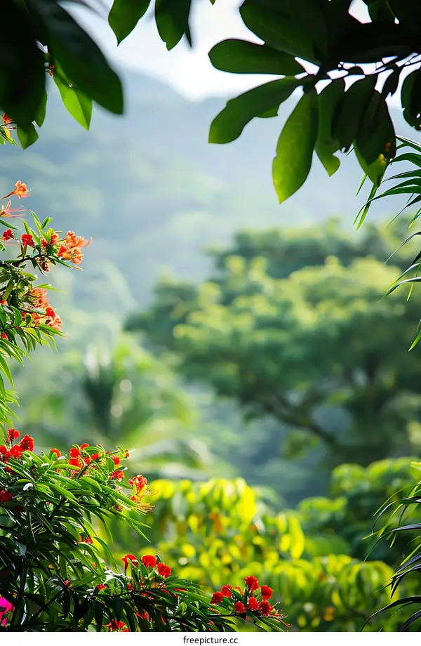 Red Flowers and Green Leaves in a Tropical Forest