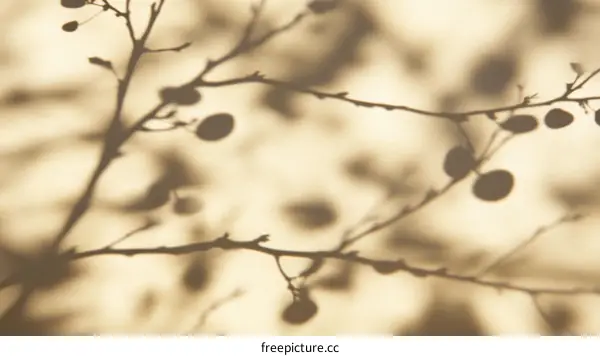Silhouette of Branches and Berries on a Beige Background
