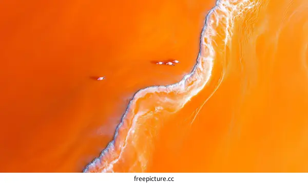Aerial View of Orange Salt Flats with Animals