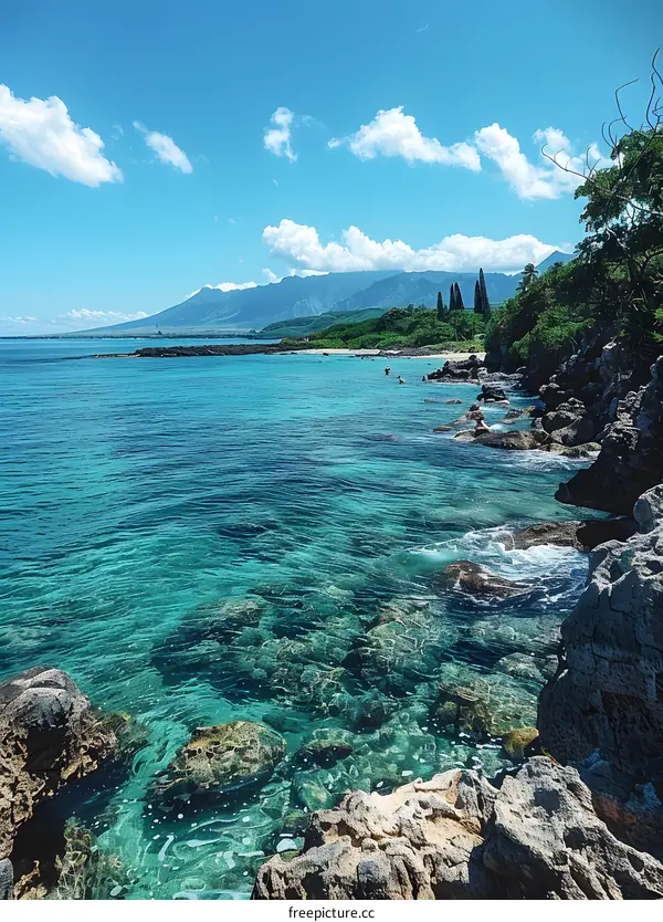 Rocky Beach Overlooking Tropical Ocean