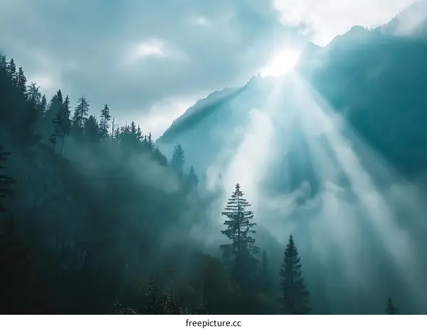 Mountain Landscape With Sun Rays and Fog