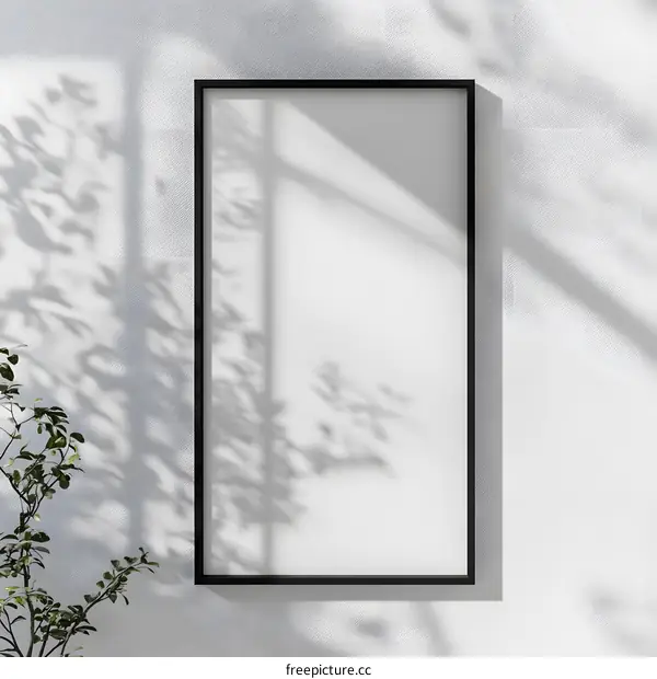 Blank Frame with Shadows and Plants