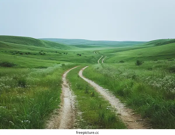 Dirt road through a lush green grassy field