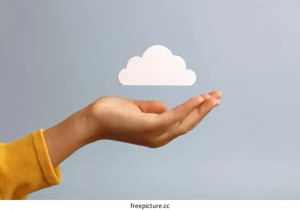 Hand Holding a Cloud Icon Illustrating Cloud Computing