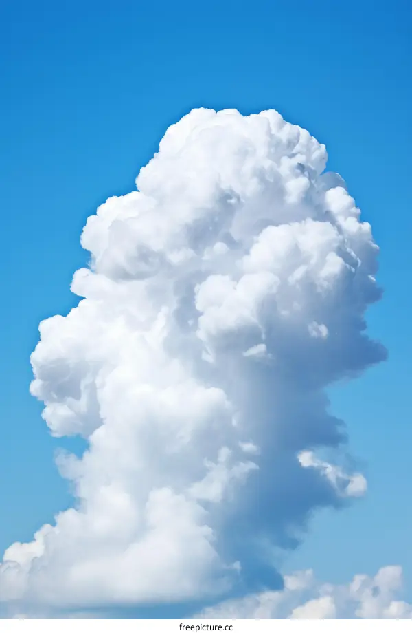 Cumulus cloud isolated on blue sky background