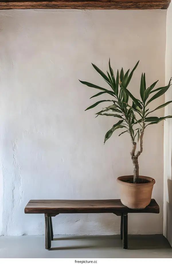 Minimalist Interior Design with Wooden Bench and Green Plant