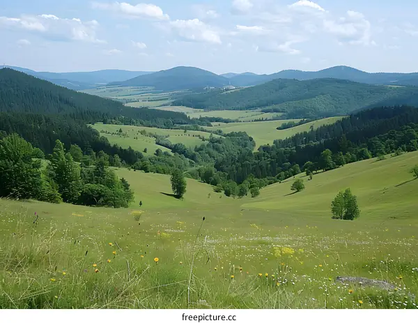 green hills and blue sky
