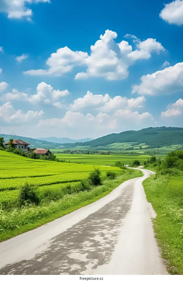 Scenic country road through the green fields