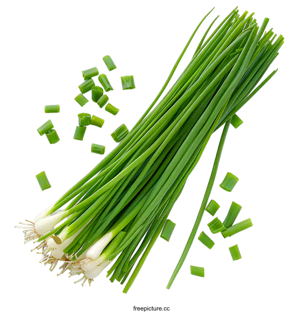 [Transparent Background PNG]Fresh green spring onion bulbs and chopped chives isolated on white background. Bunch of raw green onions. Ingredient for cooking, seasoning and salads.