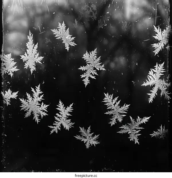 Black and white photo of frost on a window