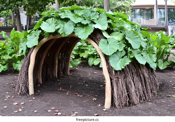 Wooden Archway Covered in Green Leaves