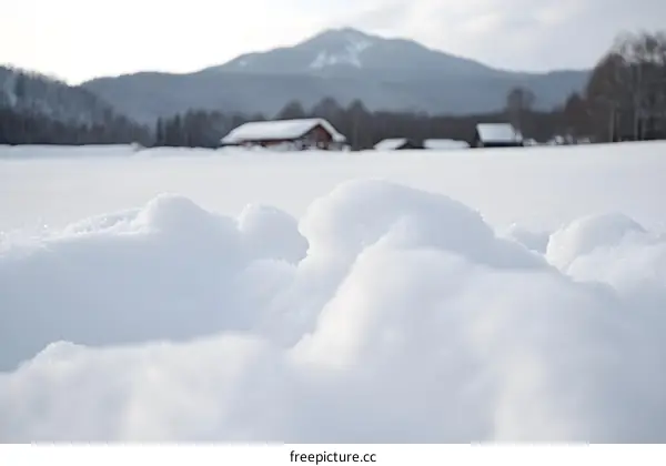 Close Up of Snow in a Winter Landscape