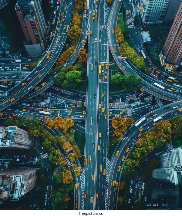 Urban Cityscape with Highway Interchange and Greenery