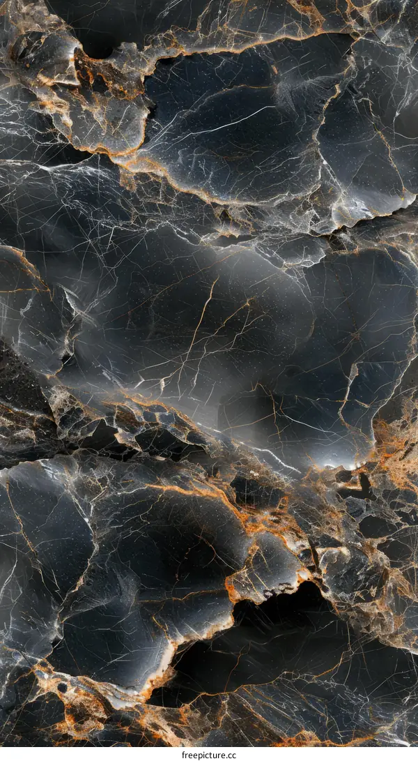 Black and gold marble texture with detailed veins