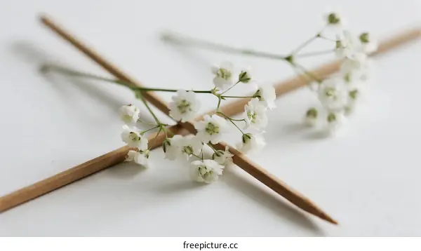 Delicate White Flowers with Thin Wooden Sticks Arranged on White Background